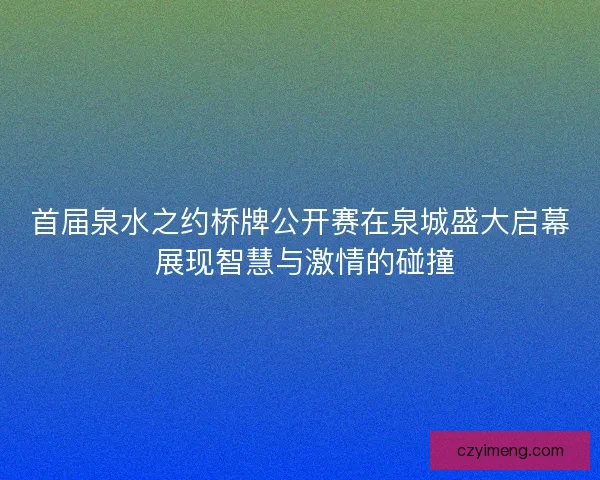 首届泉水之约桥牌公开赛在泉城盛大启幕 展现智慧与激情的碰撞